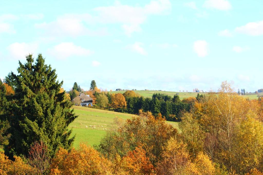 Les Alisiers Hotel Nadrin Kültér fotó